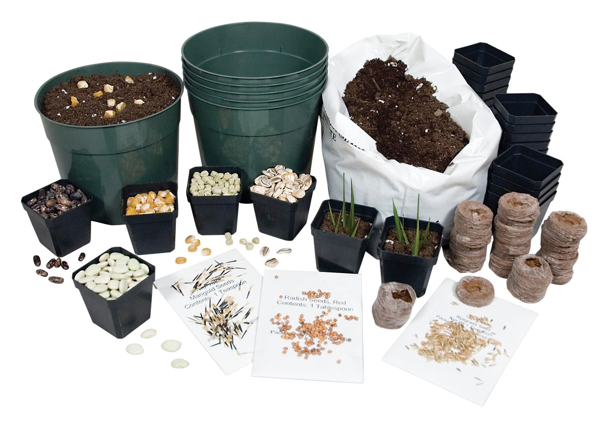 KIT PLANTING STARTER SET