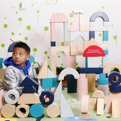 112-Piece Colored Pinewood Blocks