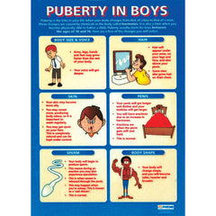 Poster Set - Hygiene & Sex Educatio