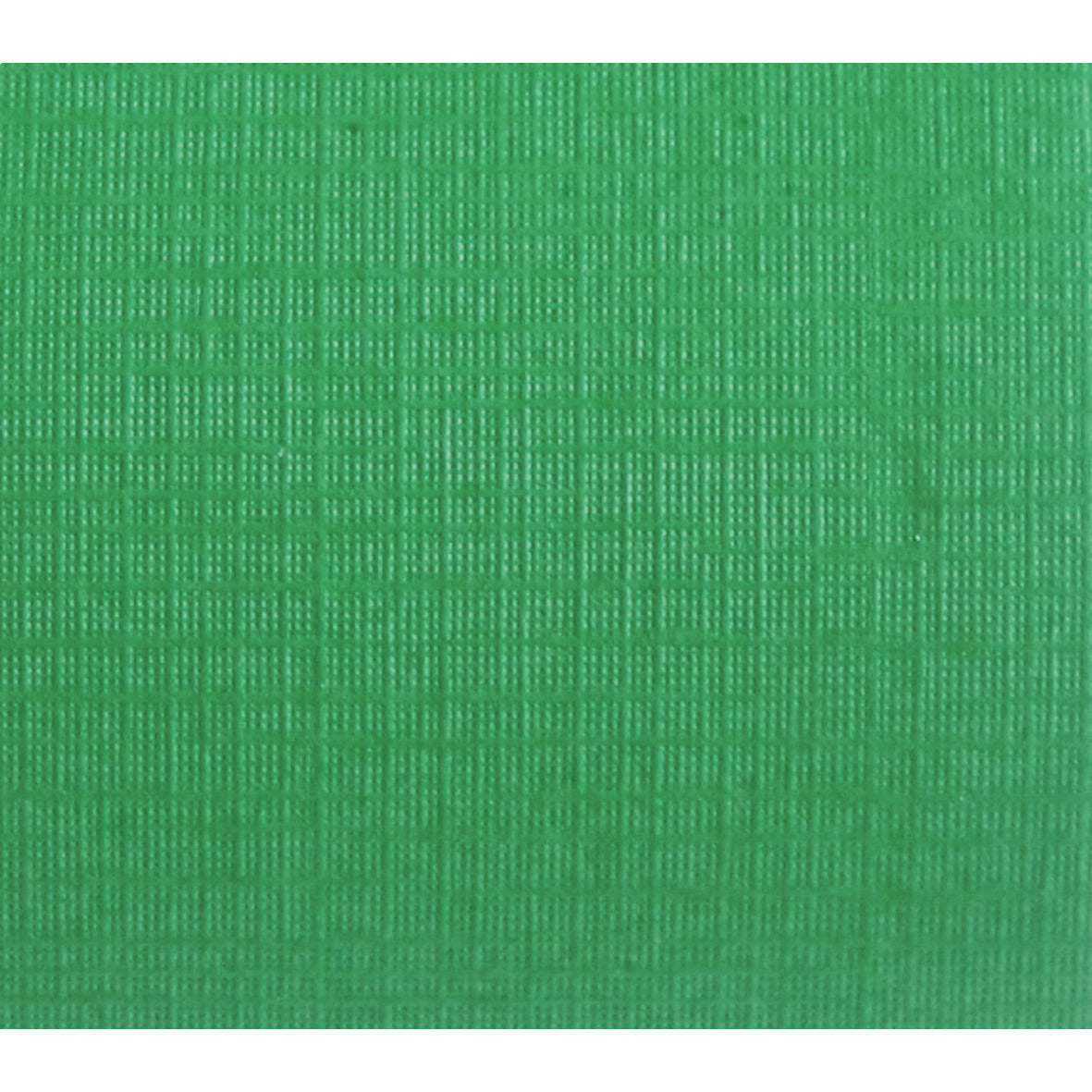 Border Rolls Leaf Green Pack 2