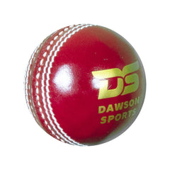 DS Club Leather d Cricket Ball - Junior Red