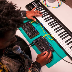 Roland Aira Compact E-4 Voice Tweaker