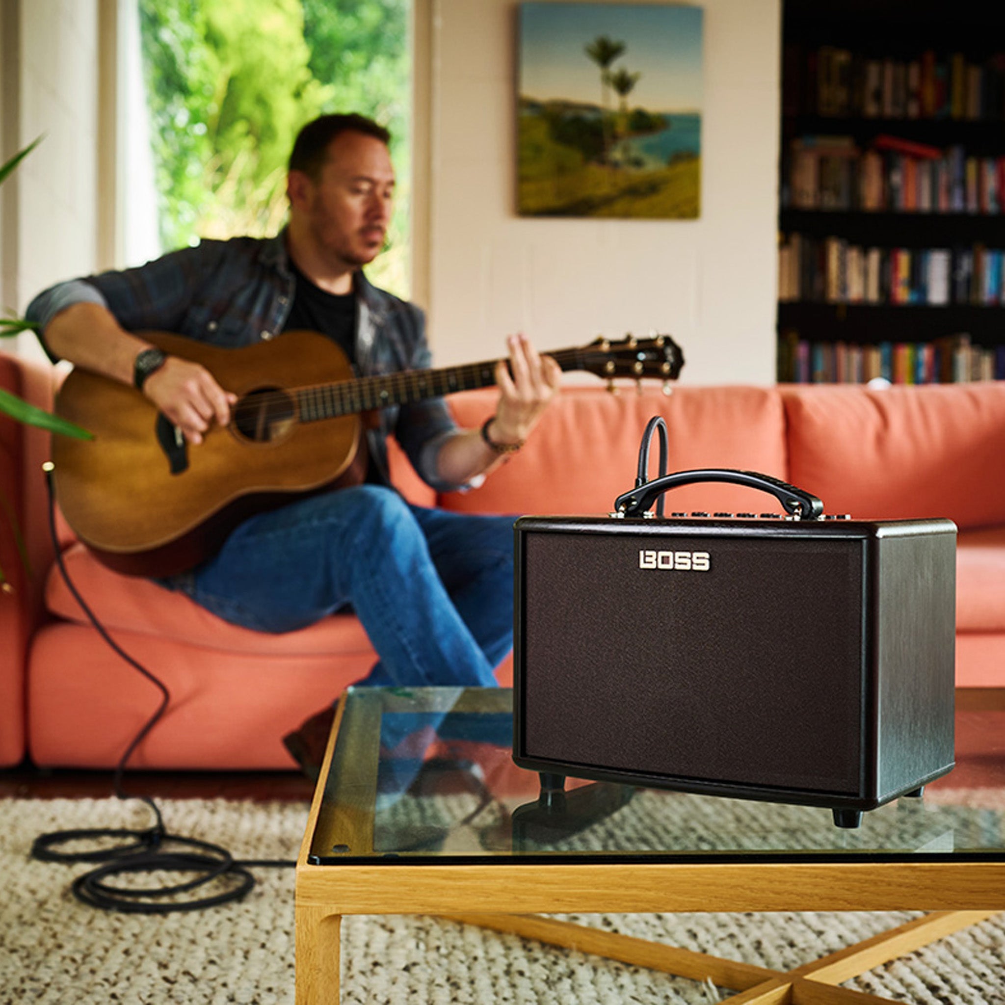 Boss AC-22LX acoustic compact amplifier