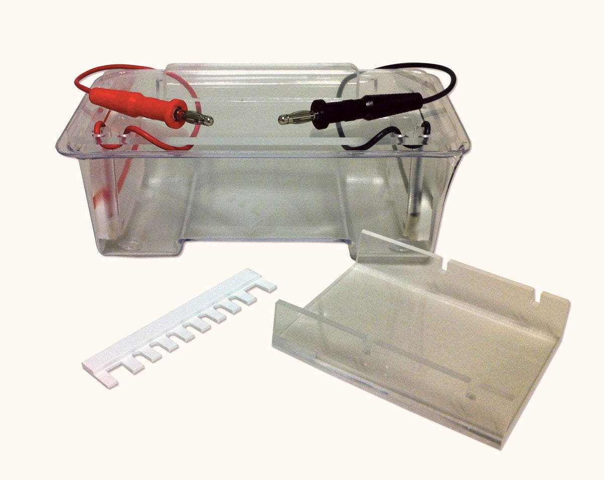 ELECTROPHORESIS TANK W/BANANA CONNECTOR