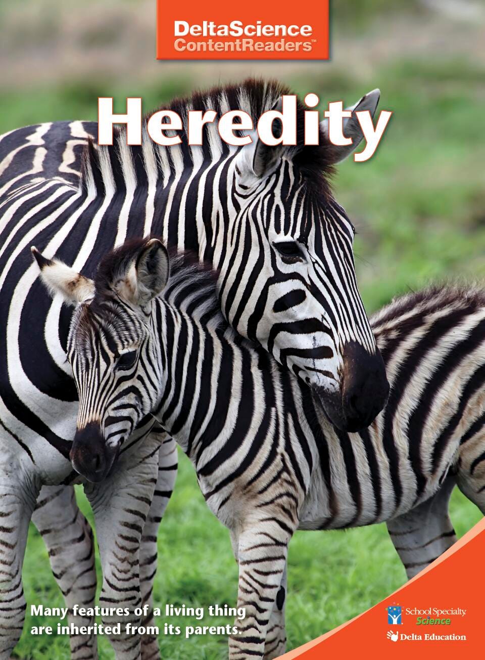 RDR DSCR HEREDITY RED P/8