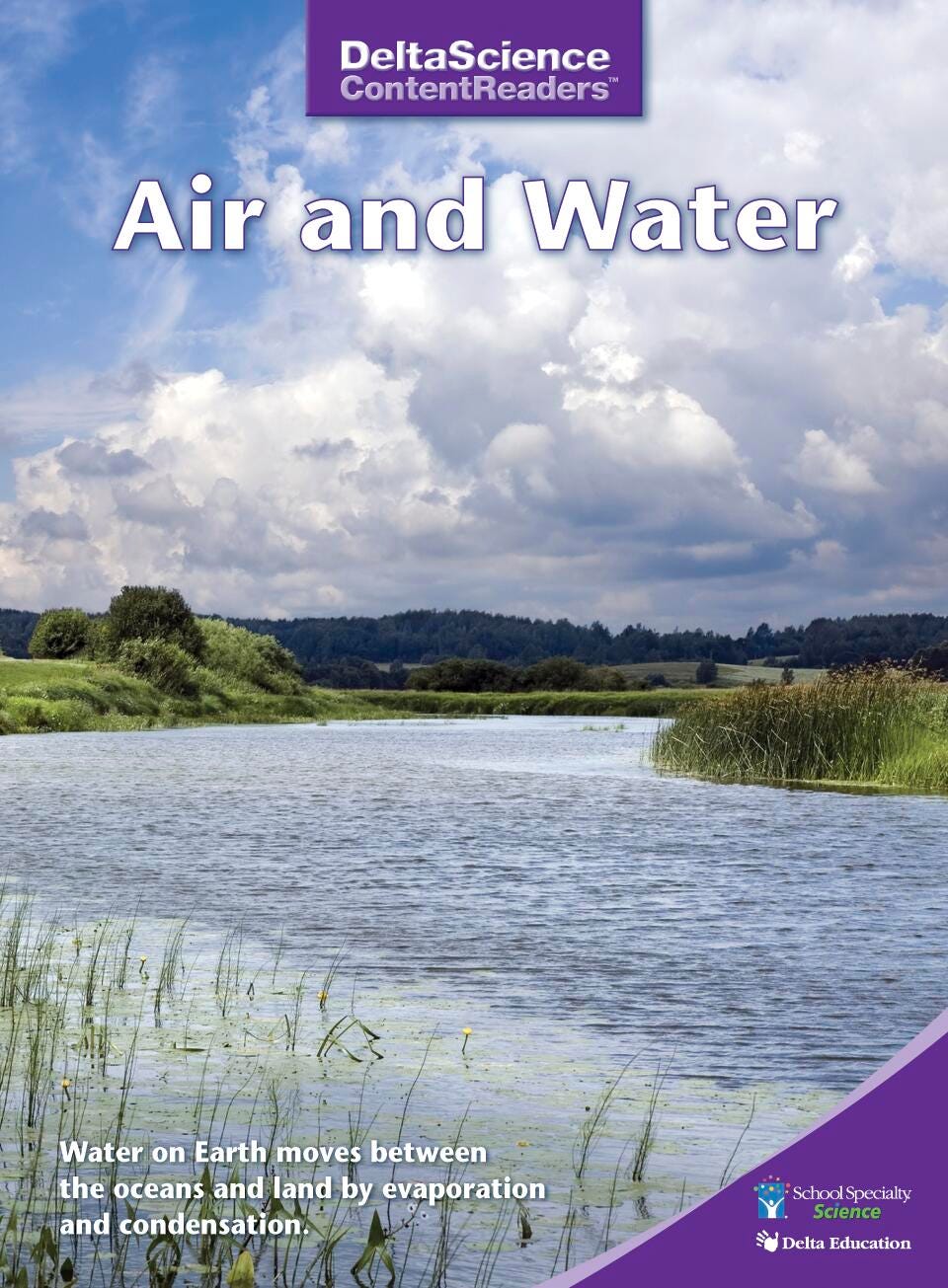 RDR DSCR AIR AND WATER PURPLE P/8