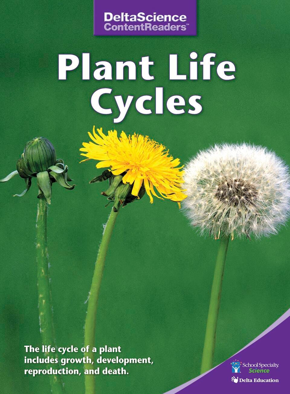 RDR DSCR PLANT LIFE CYCLES PURPLE P/8