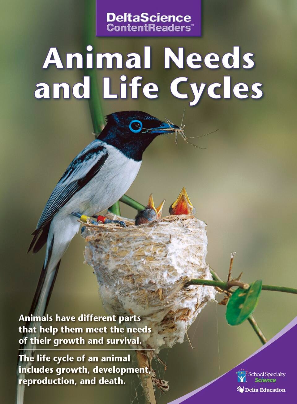 RDR DSCR ANML NEEDS LIFE CYCL PURPLE P/8