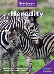 RDR DSCR HEREDITY PURPLE P/8