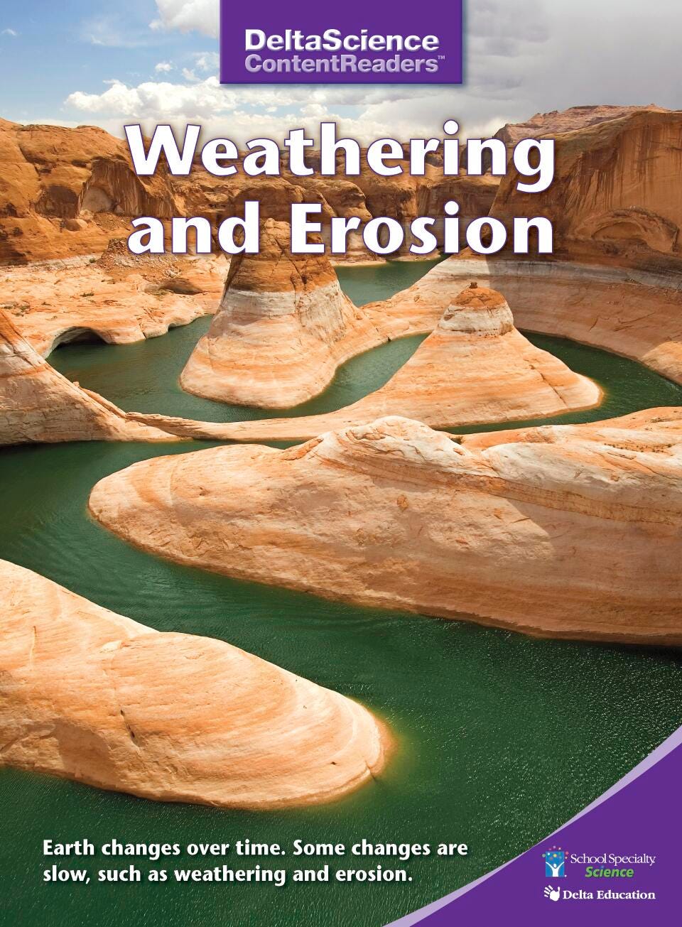 RDR DSCR WEATHERING + EROSION PURPLE P/8