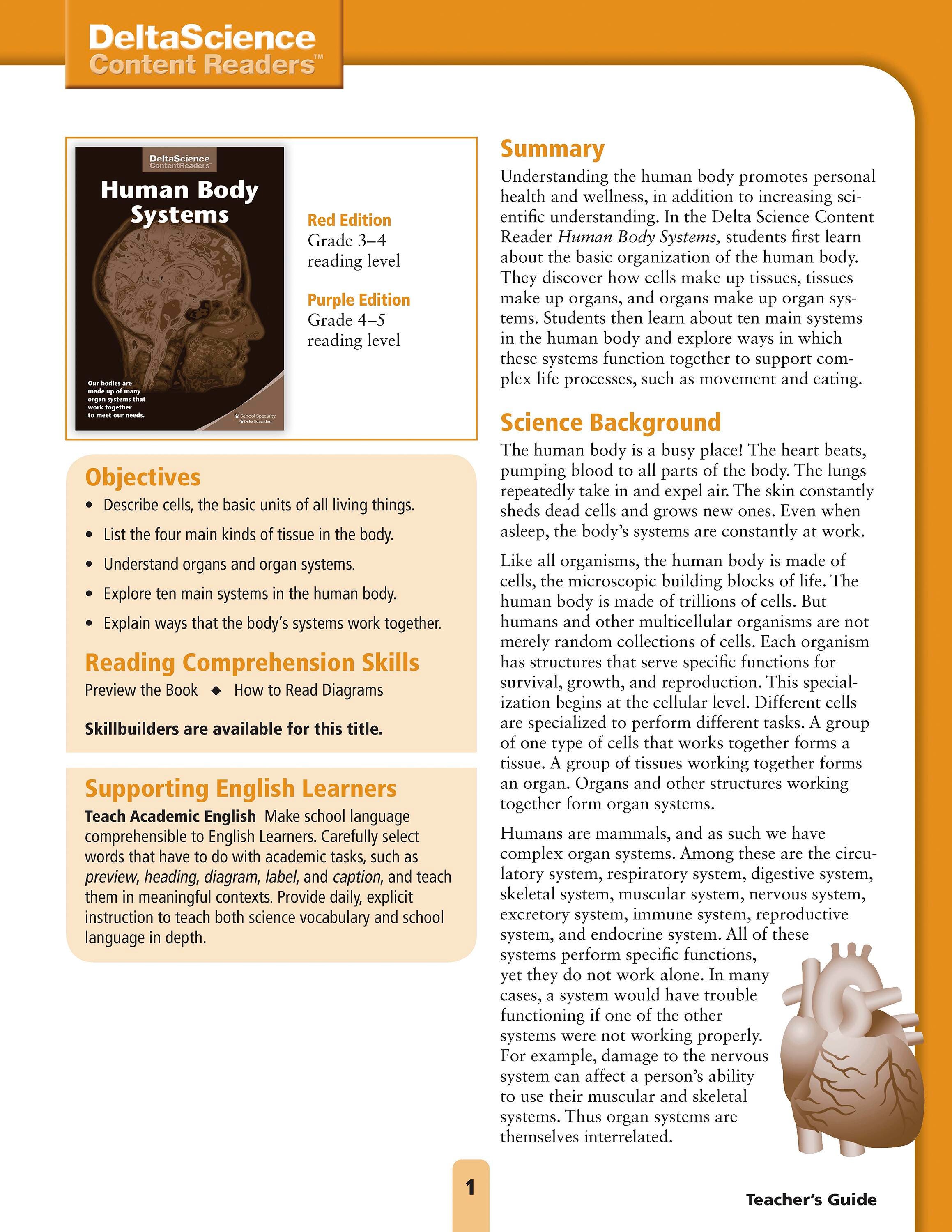 TG DSCR HUMAN BODY SYSTEMS RED AND PUR