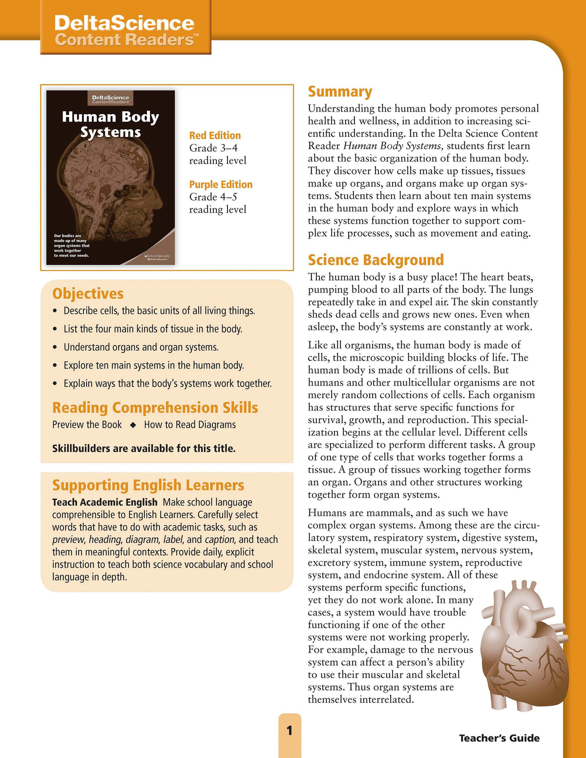 TG DSCR HUMAN BODY SYSTEMS RED AND PUR