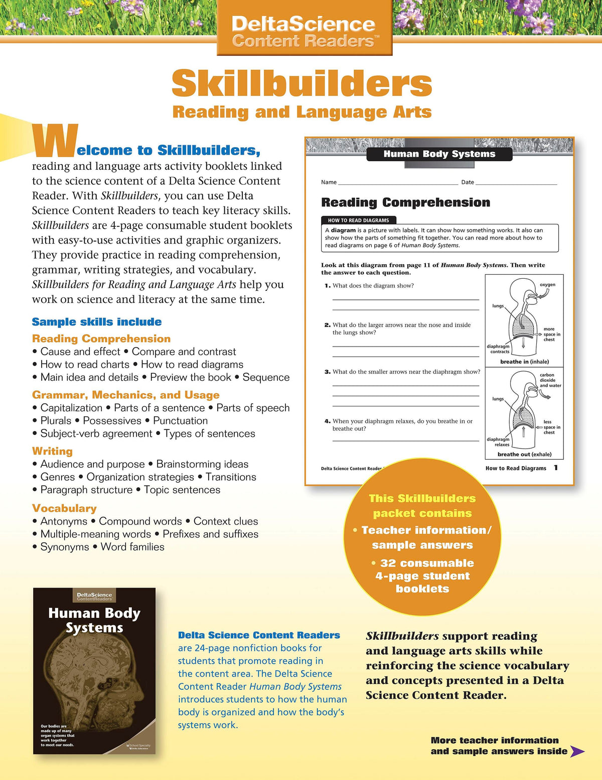 SKB DSCR HUMAN BODY SYS RED AND PUR P/32