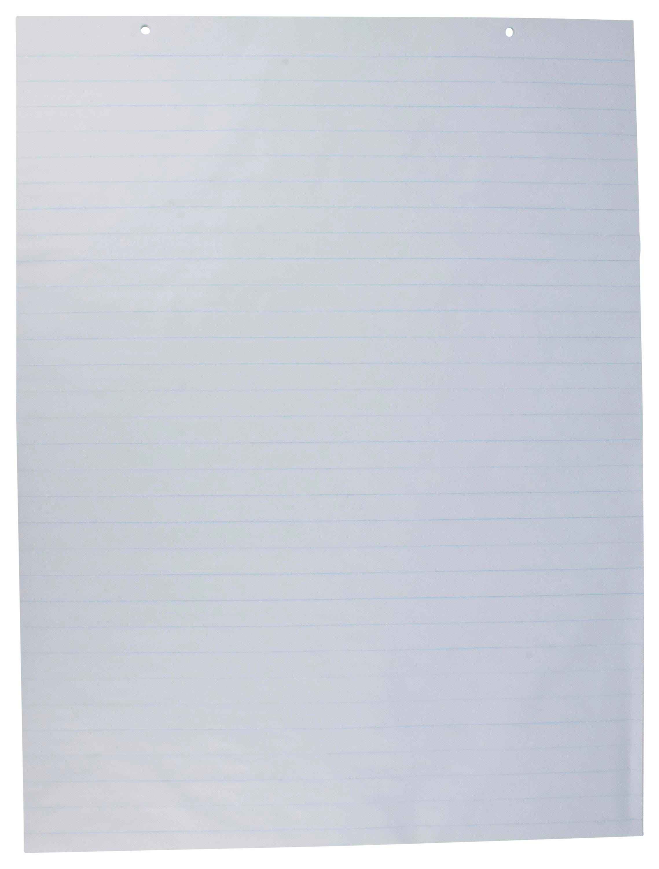 CHART PAPER 24X32 1 IN RULED 2 HOLE PUNCH 100 SHEETS