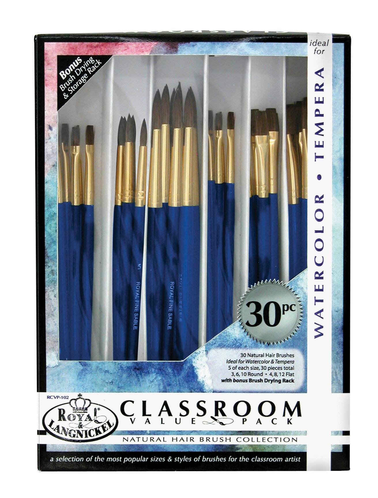 BRUSH NATURAL HAIR CLASSROOM VALUE PACK OF 30