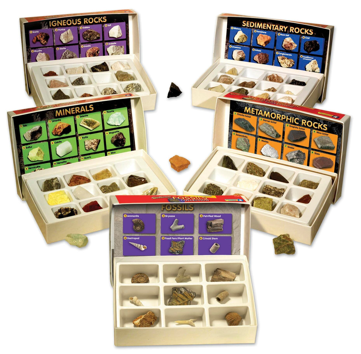 ROCK MINERAL FOSSIL COMPLETE COLLECT S/57