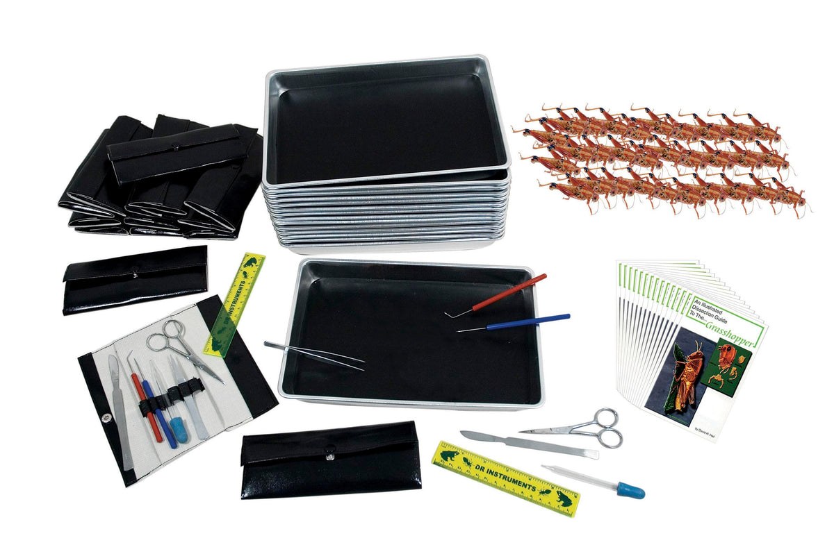 GRASSHOPPER COMPLETE DISSECTION SET