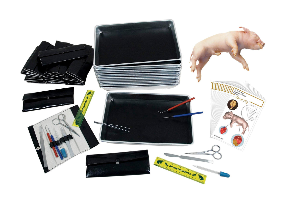 FETAL PIG COMPLETE DISSECTION SET