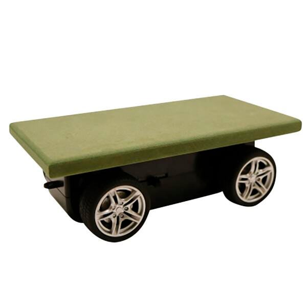 CONSTANT SPEED VEHICLE