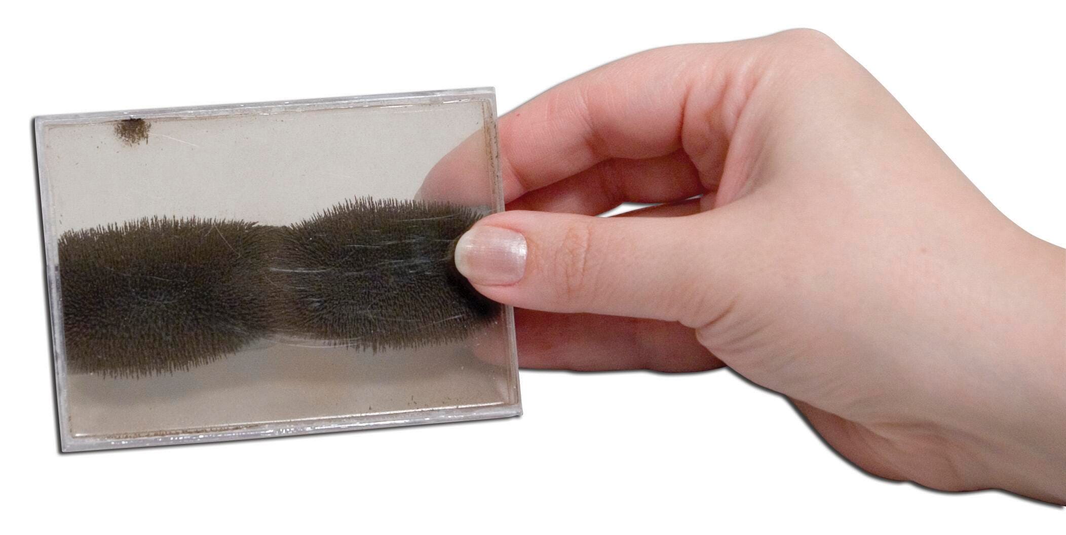 MAG FIELD DEMONSTRATOR SM