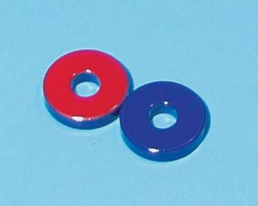 MAGNETS RING PAINTED PKG/2