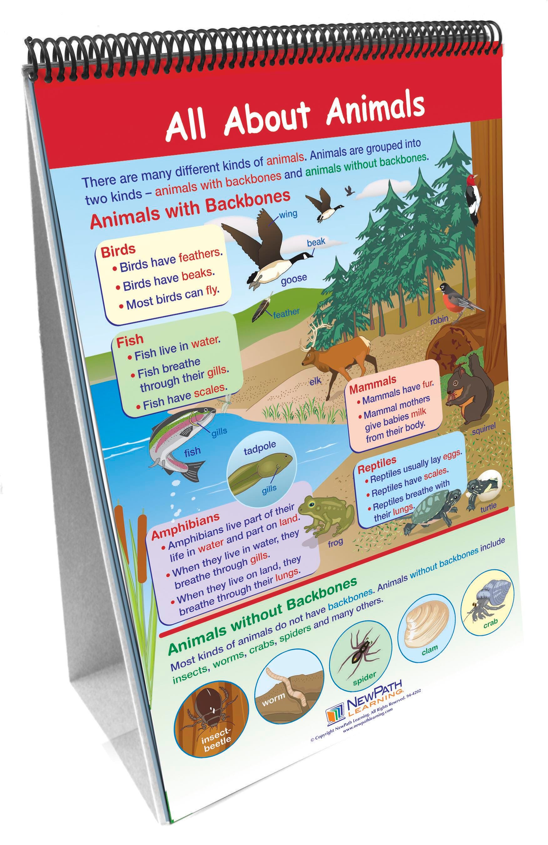 FLIP CHART GRADE 2 SCIENCE