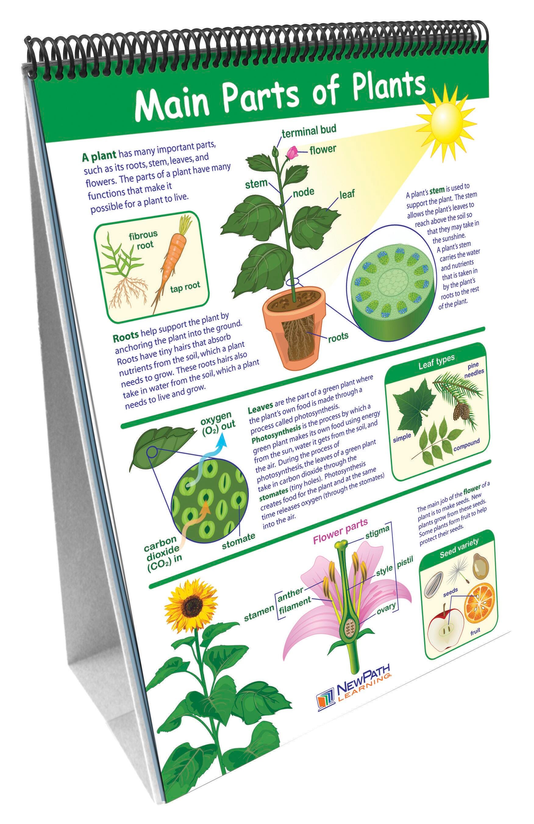 FLIP CHART GRADE 3 SCIENCE