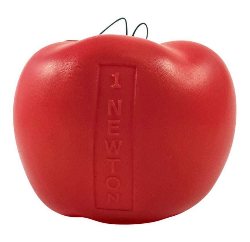 NEWTONS APPLES PACK OF 6