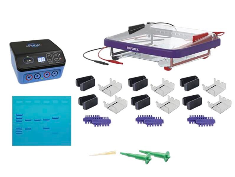 LABSTATION CLASSROOM DNA ELECTROPHORESIS