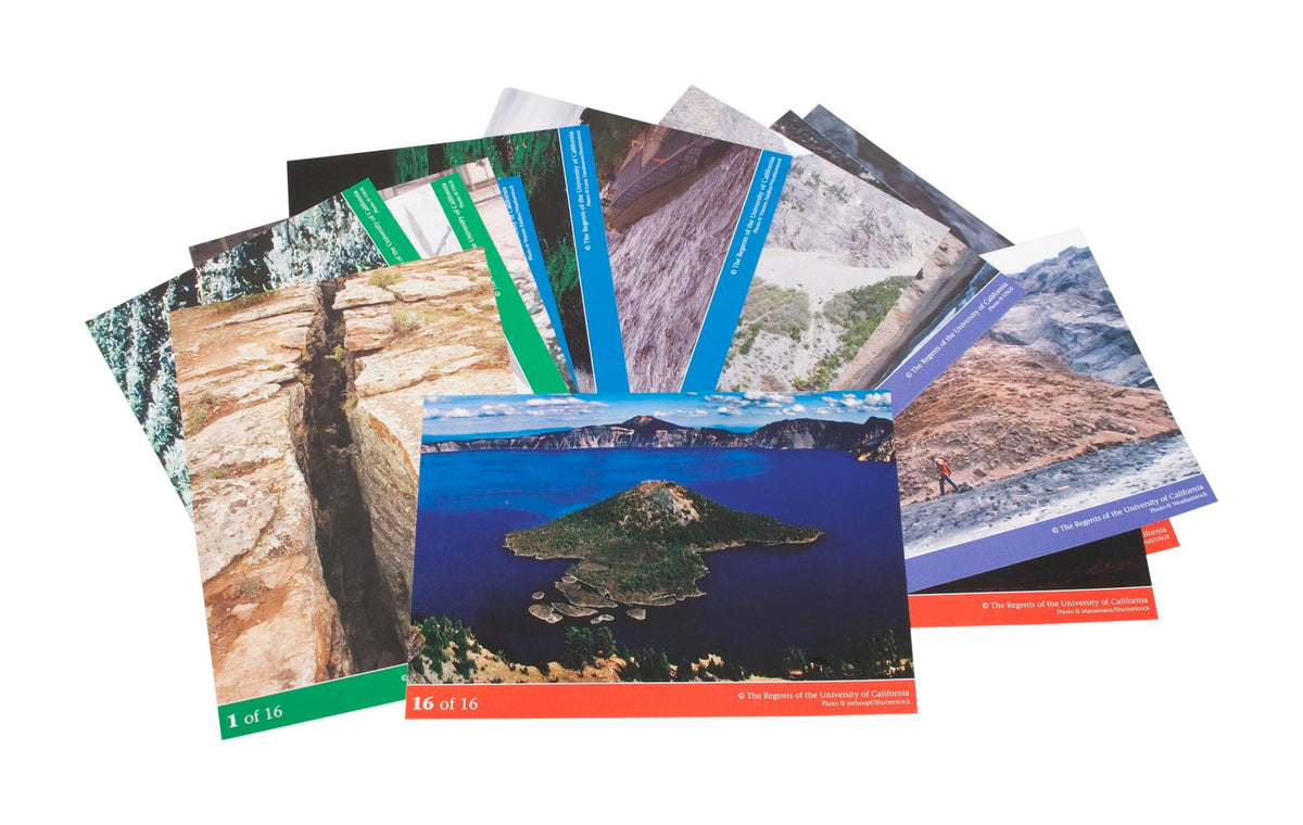 CARDS FOSS RAPID CHANGES SET/16