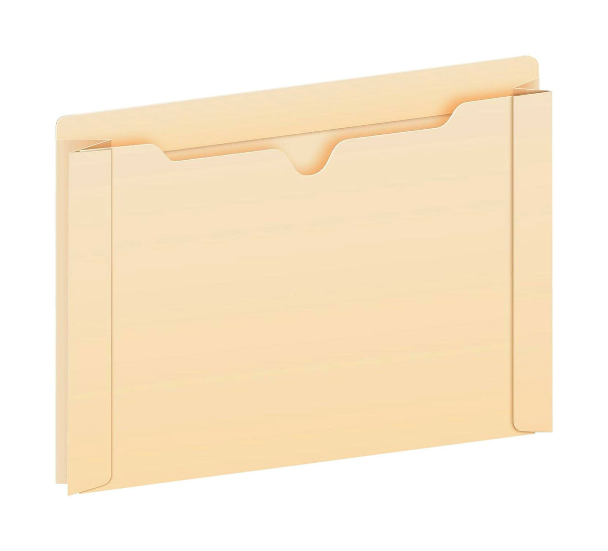 FILE JACKET ANTIMICROBIAL LETTER 2 IN EXP MANILA PK OF 50