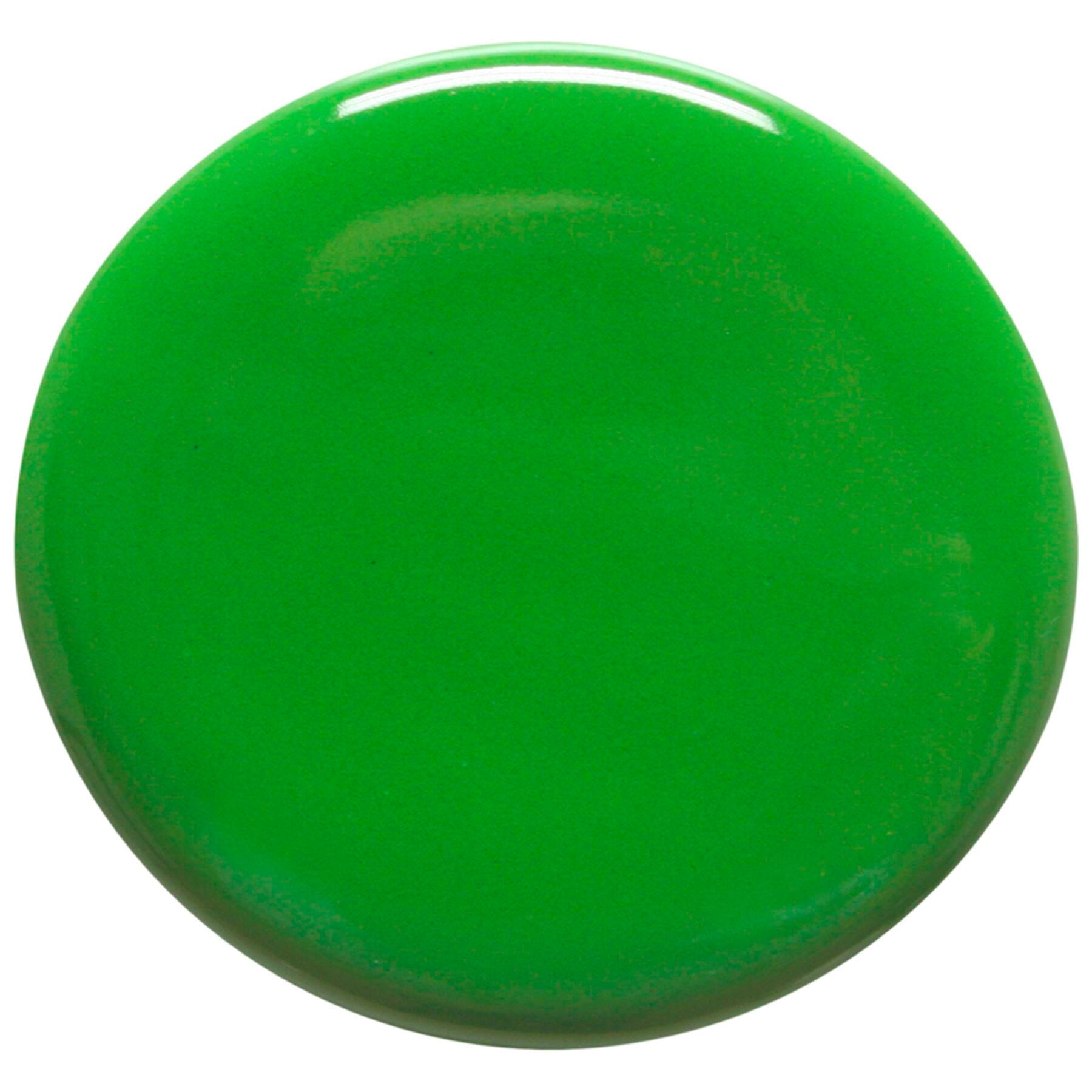 GLAZE AMACO TEACHERS PALETTE TP-41 FROG GREEN PINT
