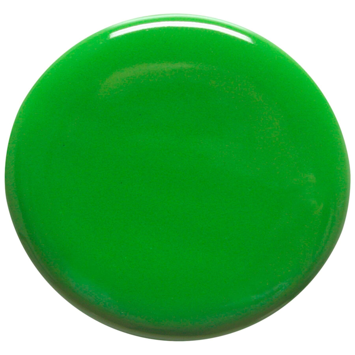 GLAZE AMACO TEACHERS PALETTE TP-41 FROG GREEN PINT