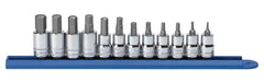 HEX BIT SOCKET SET METRIC 12 PC