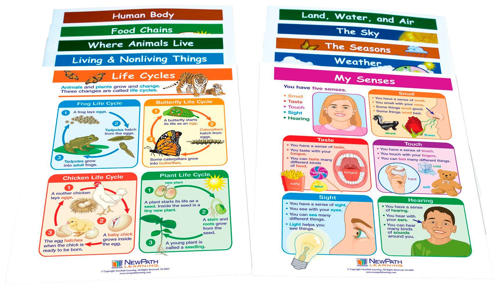 GUIDES VIS LEARN GRADE 1 SCIENCE S/10 – Eduplan International