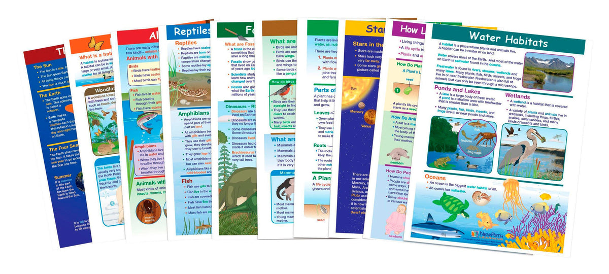 GUIDES VIS LEARN GRADE 2 SCIENCE S/10