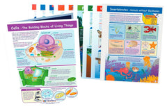 GUIDES VIS LEARN GRADE 4 SCIENCE S/10