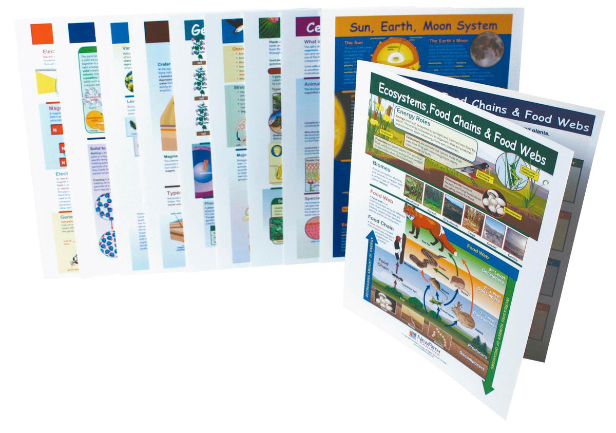 GUIDES VIS LEARN GRADE 6 SCIENCE S/10