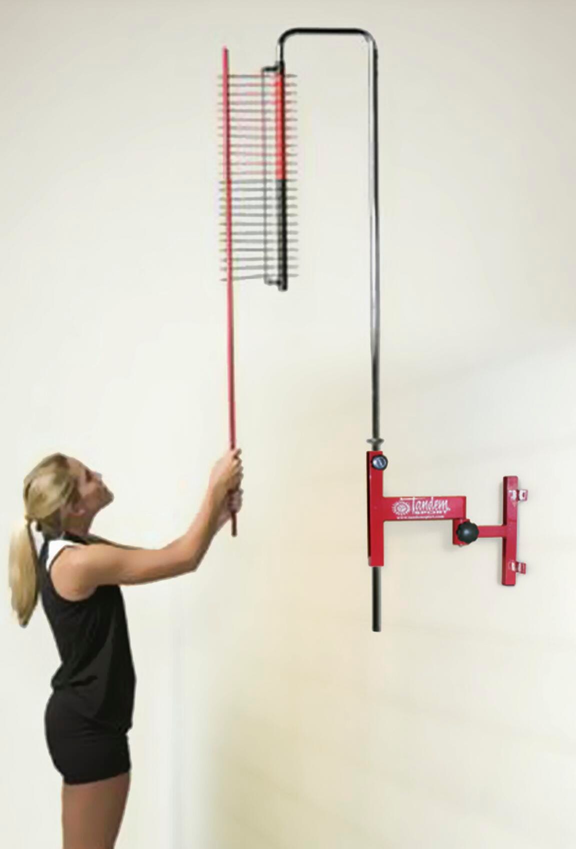 WALL MOUNTED VERTICAL CHALLENGER