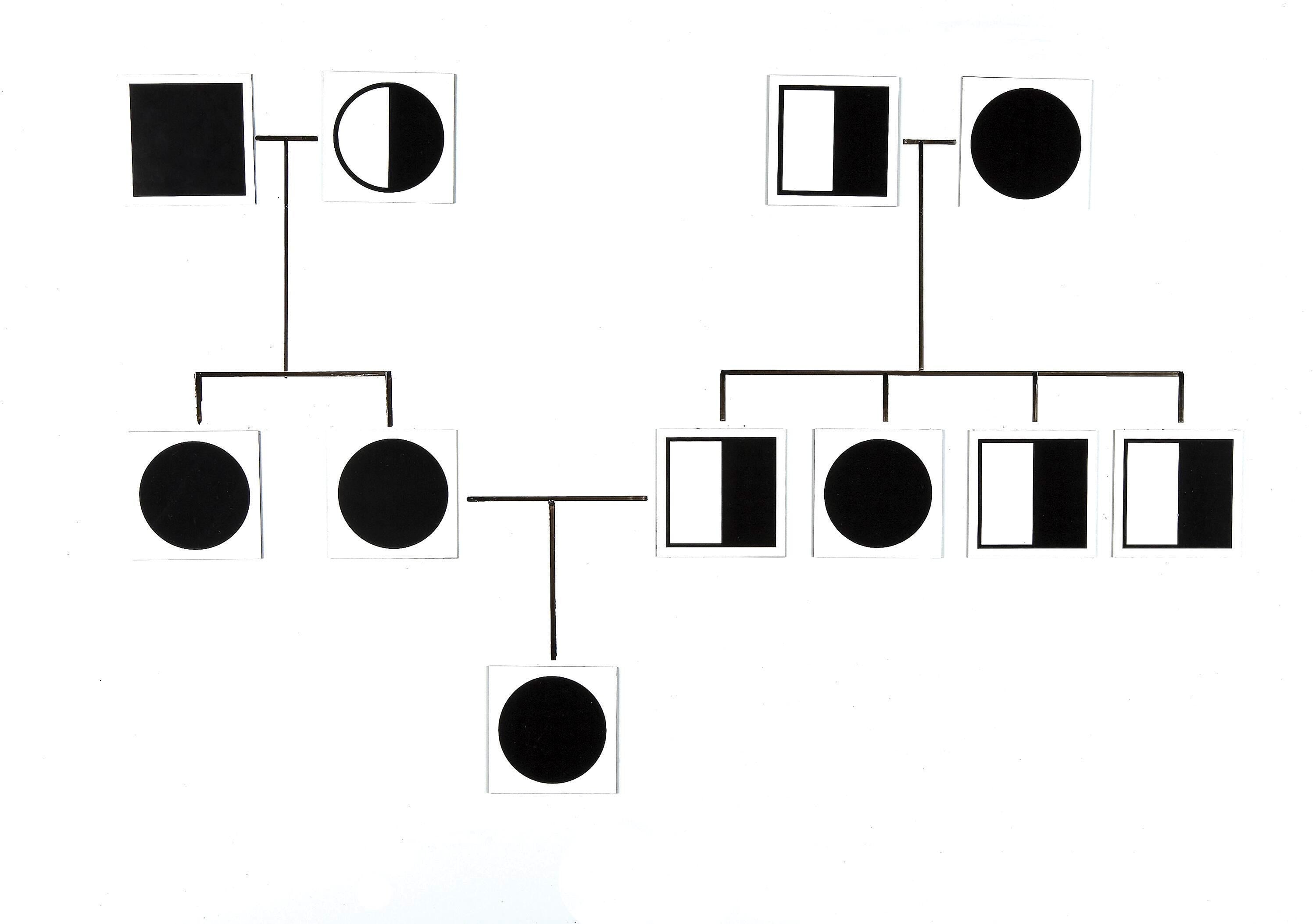 CARDS STICK TO SCIENCE GENETICS
