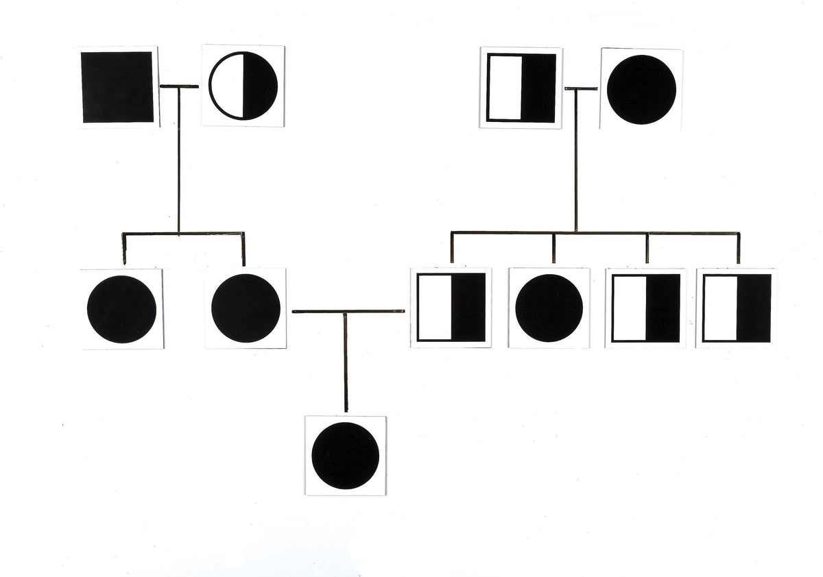 CARDS STICK TO SCIENCE GENETICS