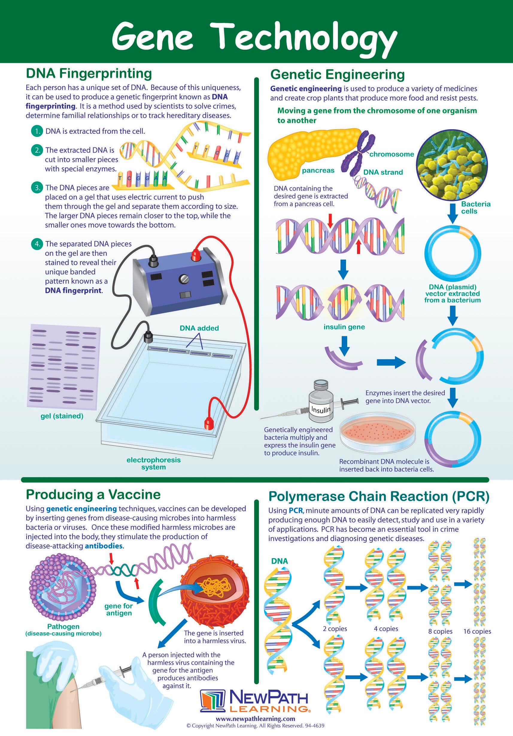 POSTER GENE TECHNOLOGY