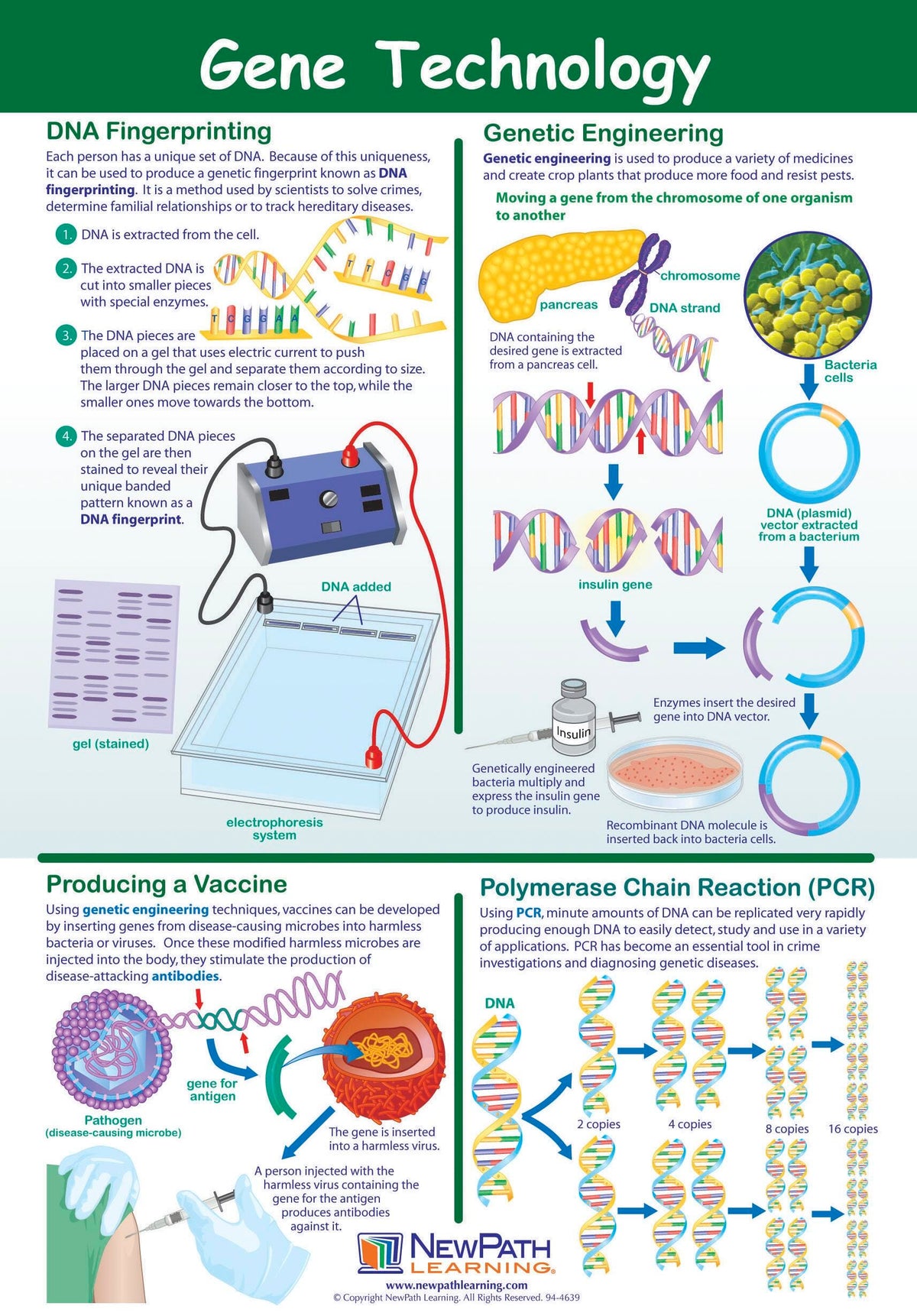 POSTER GENE TECHNOLOGY