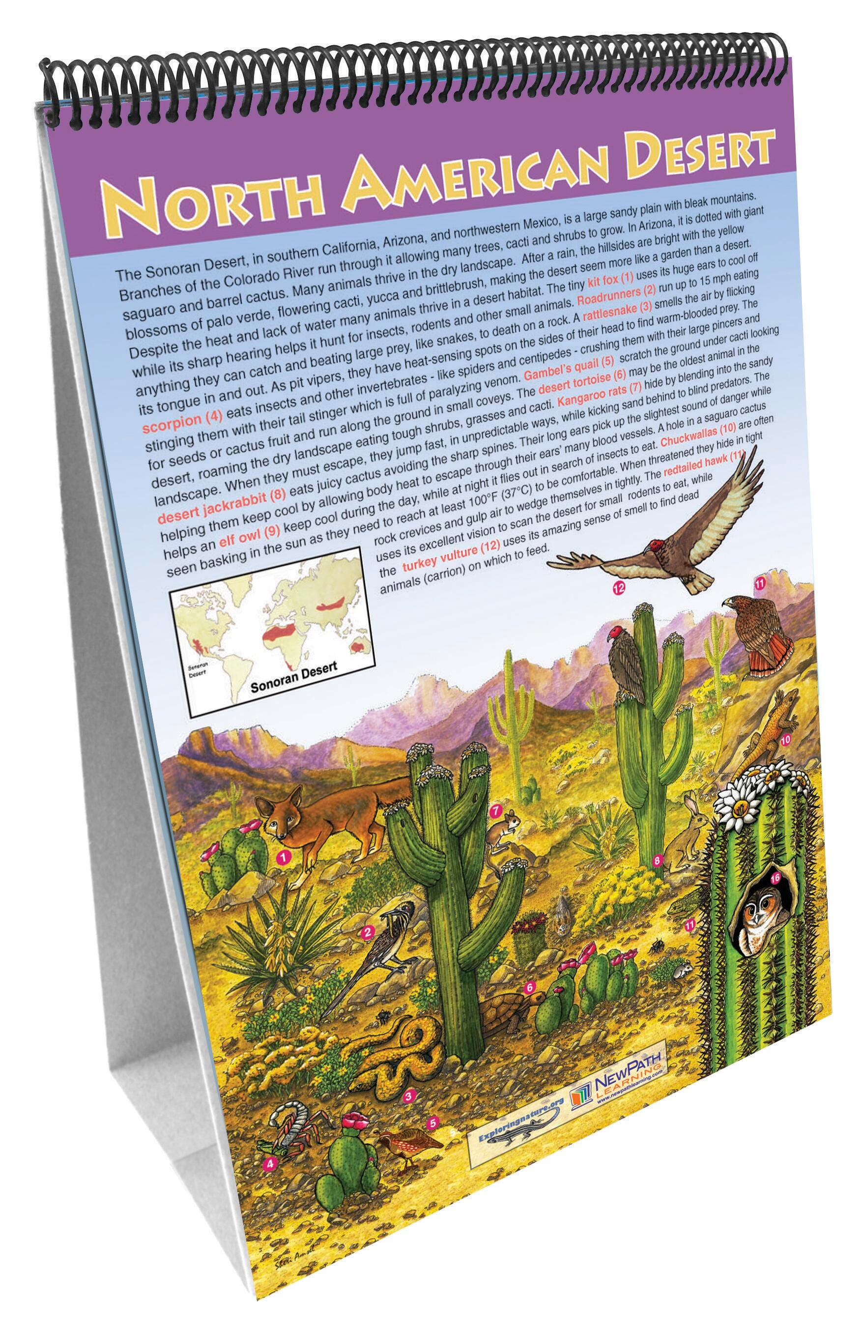 FLIP CHART MS BIOMES