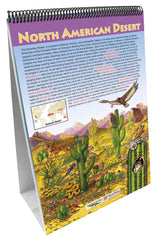 FLIP CHART MS BIOMES