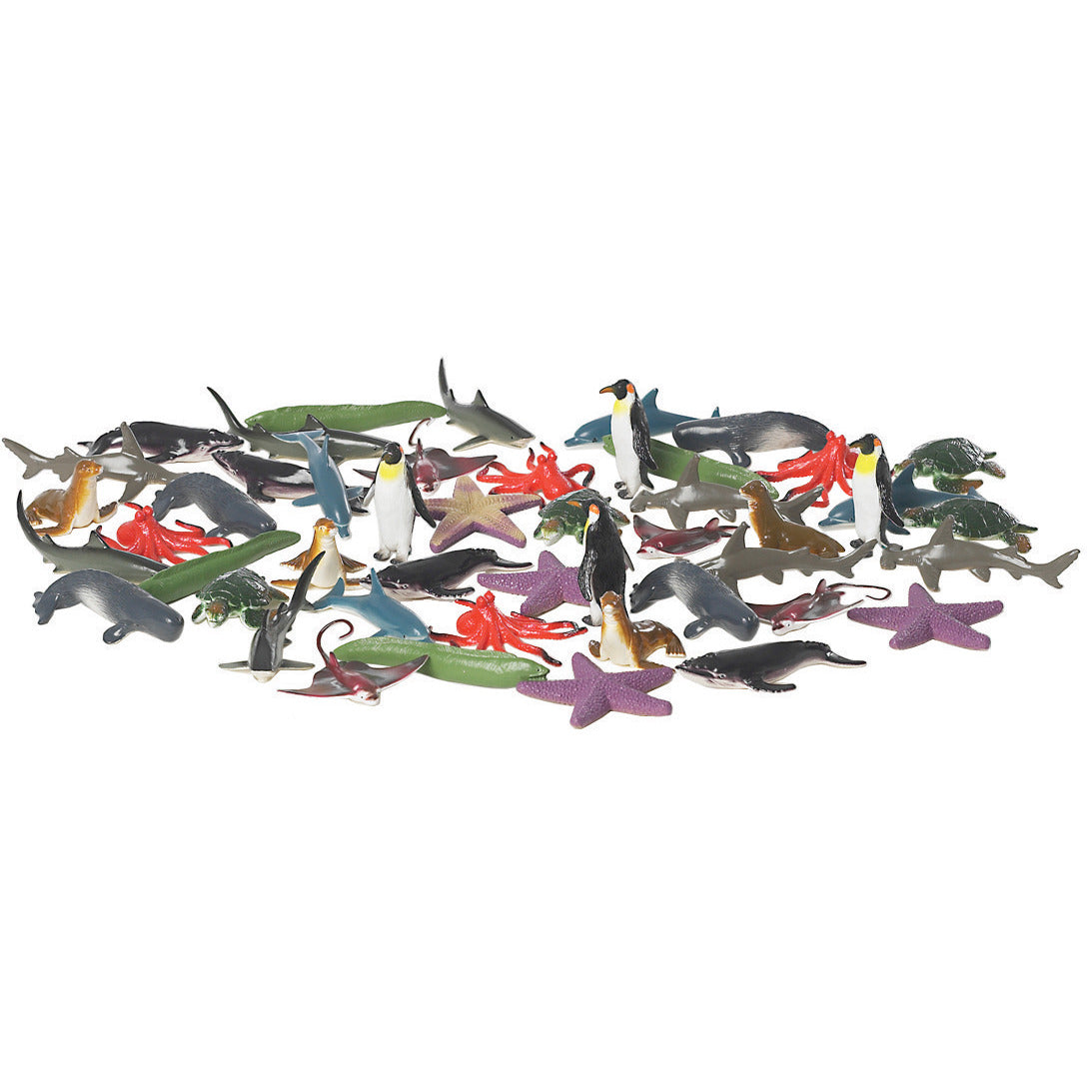 Safari Sea Life Animals