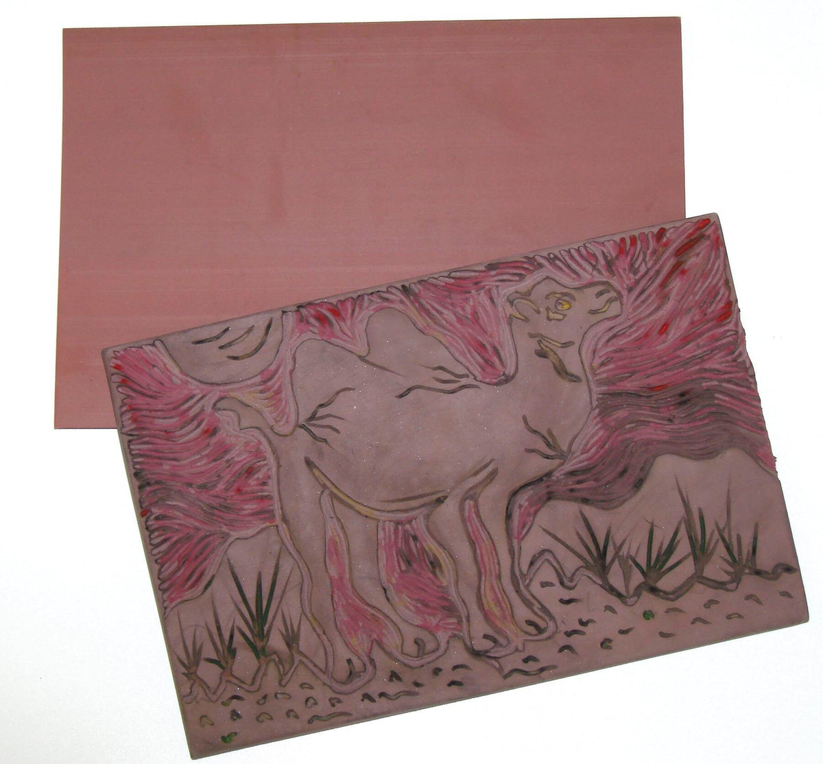 PRINTING PLATE ECO 4X6 INCH PINK PACK OF 2