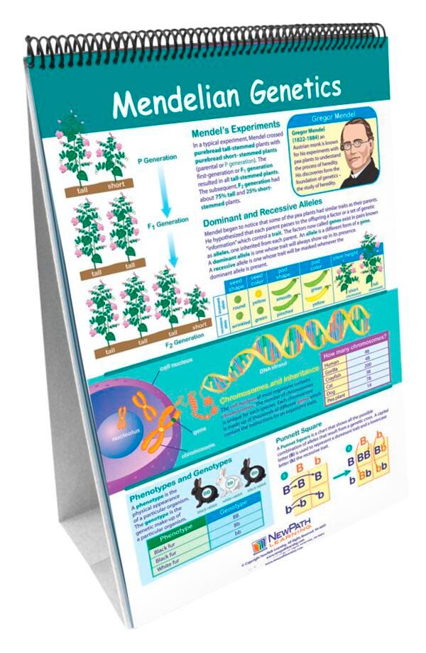 FLIP CHART MS/HS GENETICS + HEREDITY