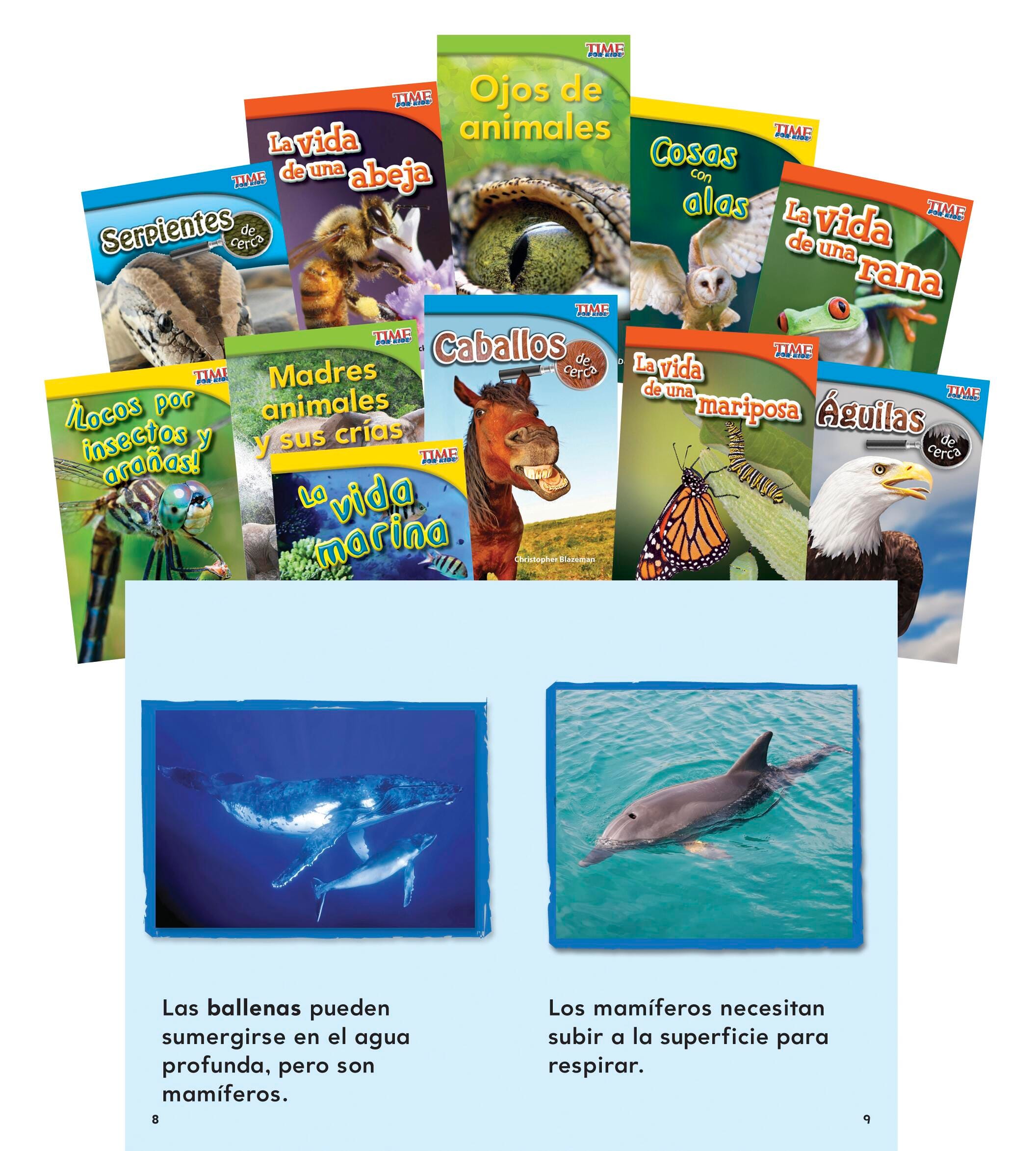 BOOKS ANIMALS AND INSECTS SPANISH SET OF 11