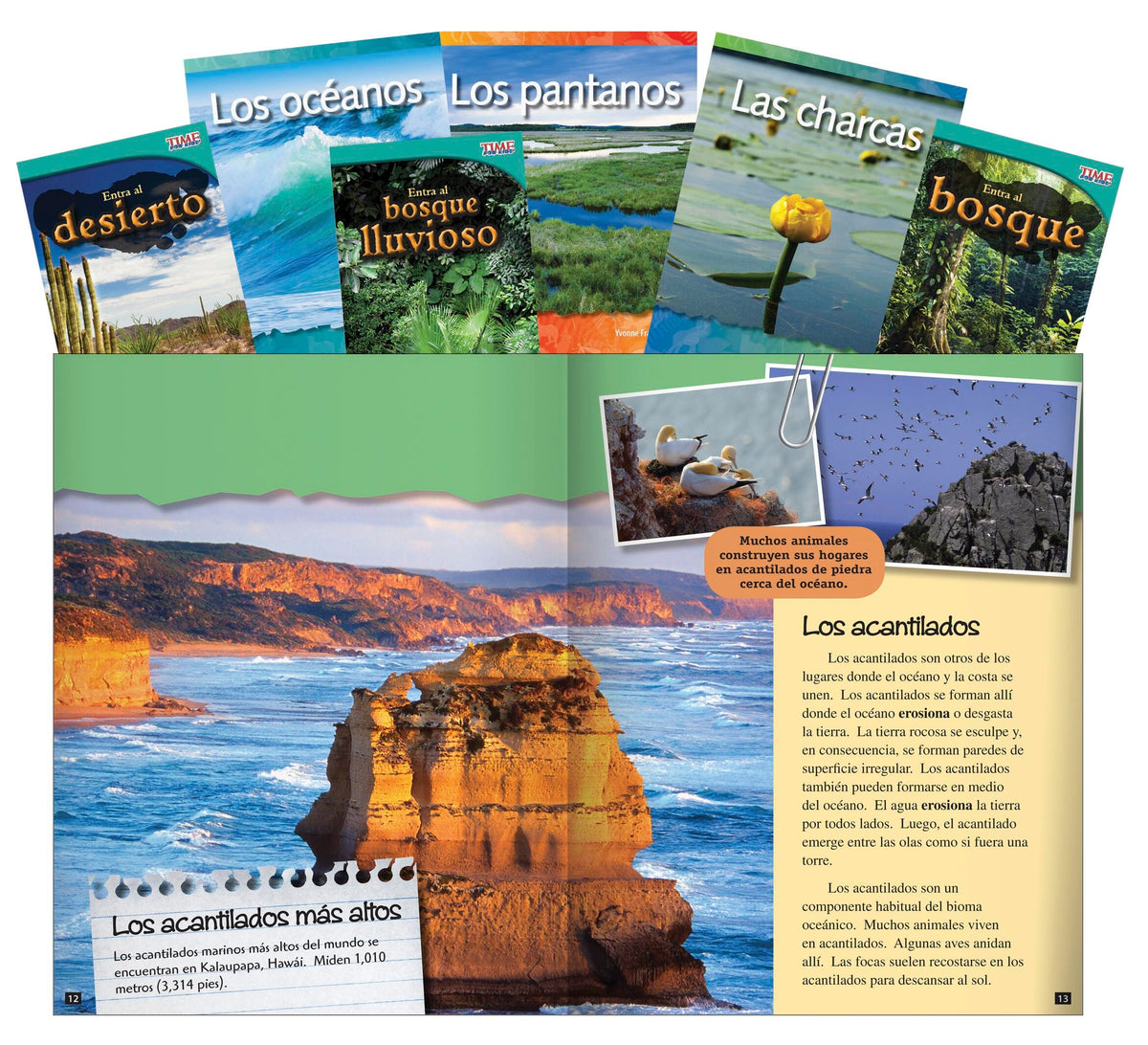 BOOKS EARTHS ECOSYSTEM SPANISH SET OF 6